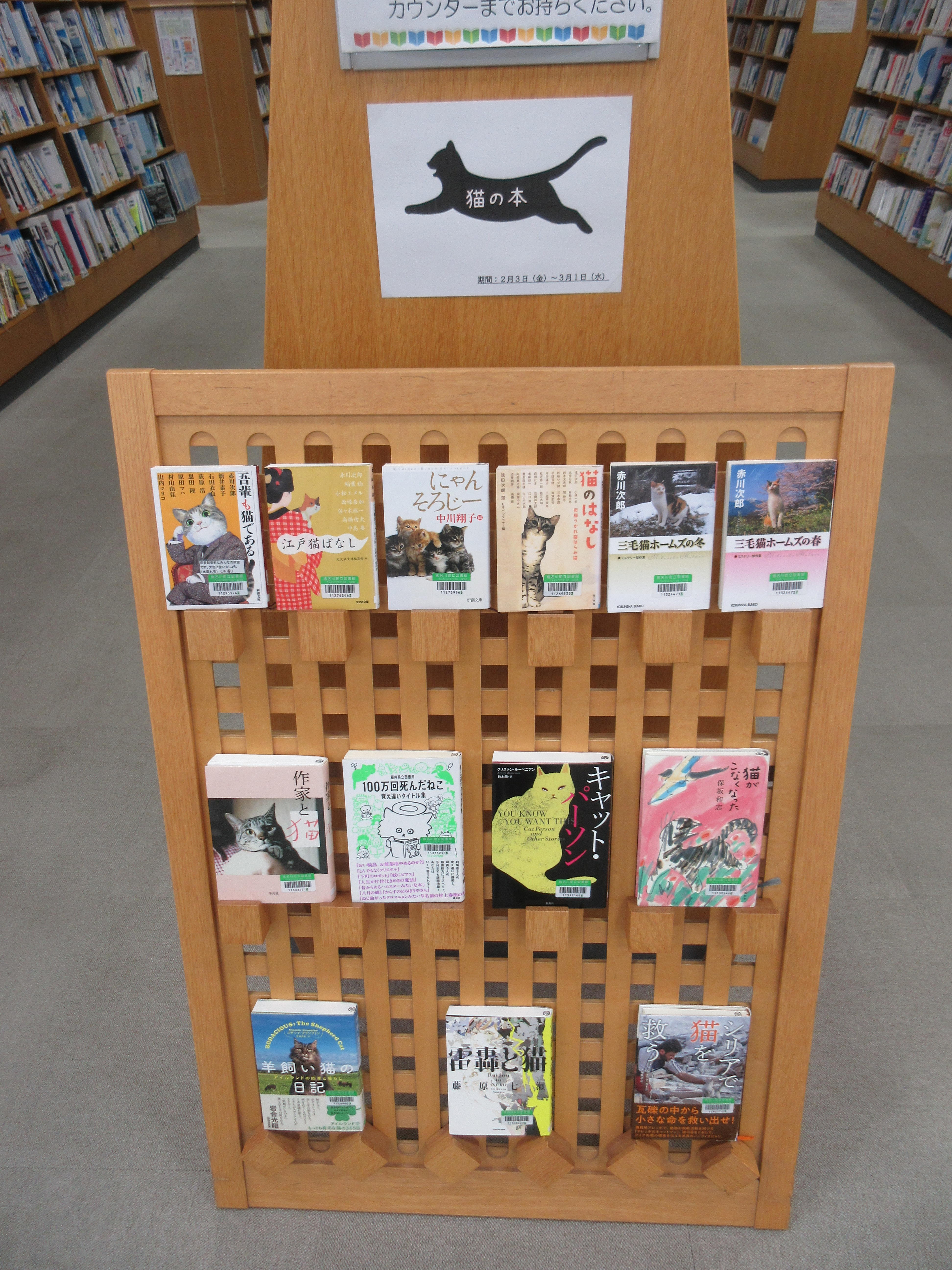 ミニ展示「猫の本」 (2).JPG