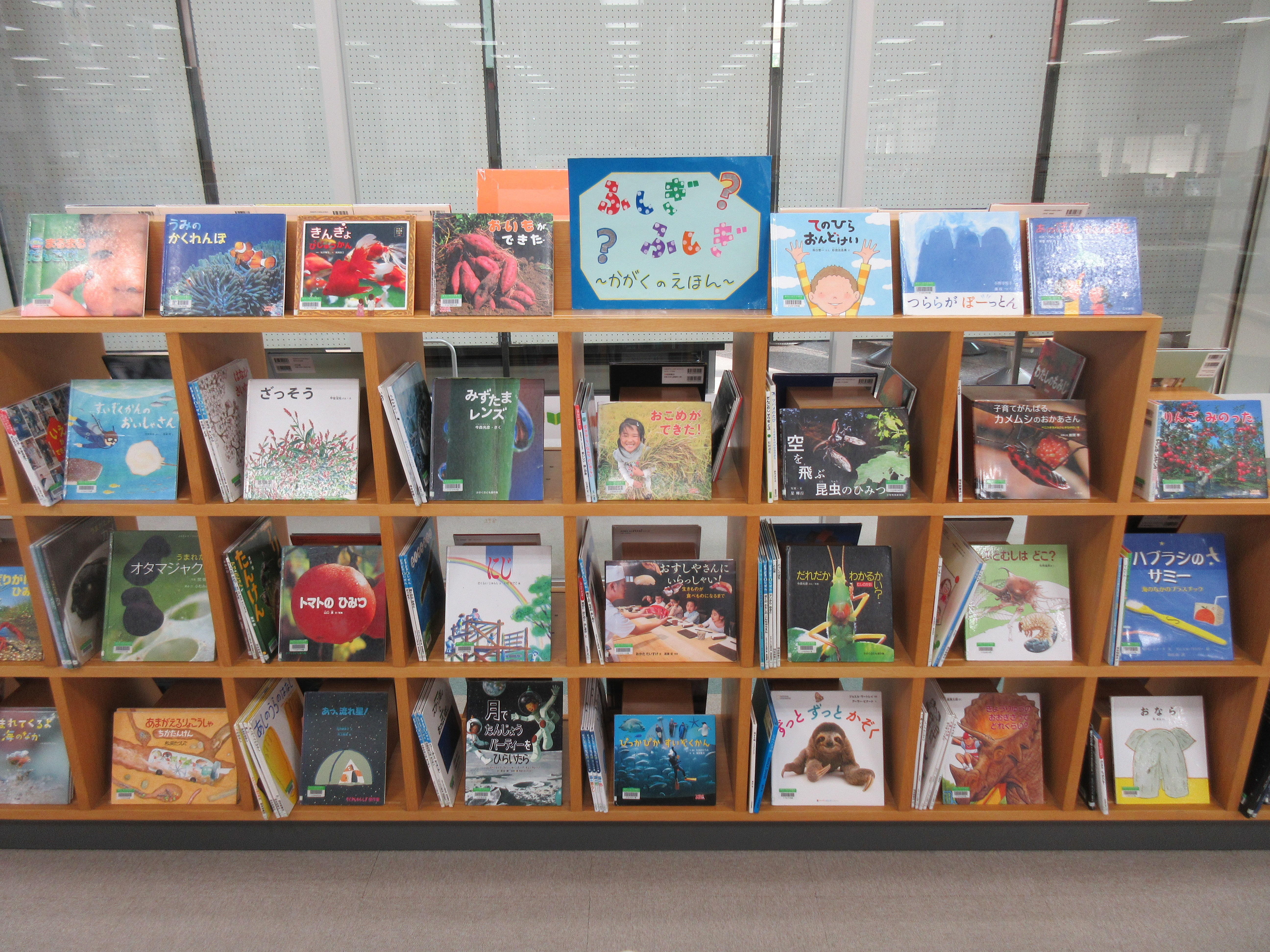 児童展示11月「ふしぎふしぎかがくのえほん」.JPG